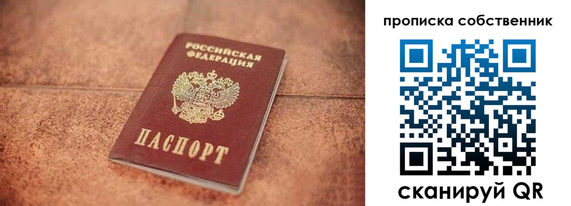 где прописаться в Тосно